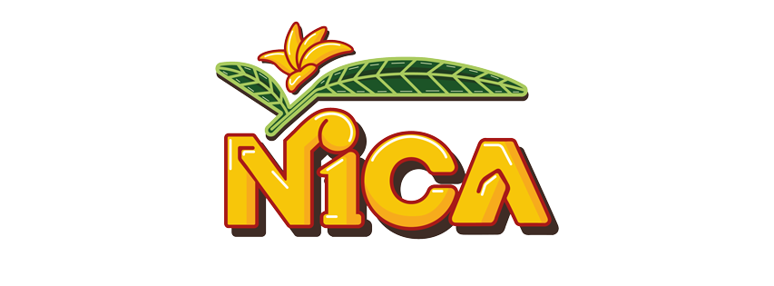 EL Sazon Nica